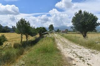 Αγροτεμάχια 24.000 τ.μ. για ενοικίαση, Ν. Ιωαννίνων, Ιωάννινα-thumb-17