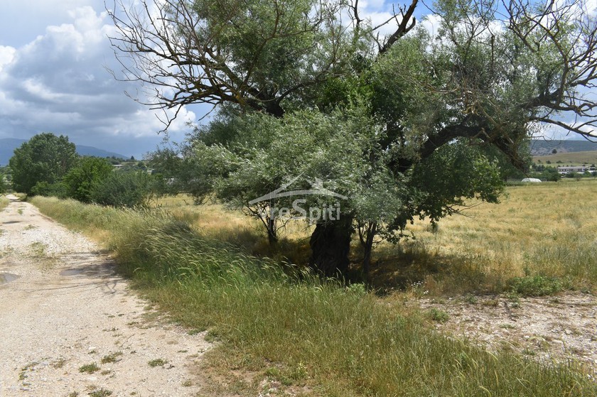 Άλλο 24.000τ.μ. για ενοικίαση-Ιωάννινα