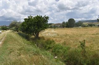 Αγροτεμάχια 24.000 τ.μ. για ενοικίαση, Ν. Ιωαννίνων, Ιωάννινα-thumb-2
