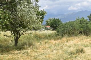 Αγροτεμάχια 24.000 τ.μ. για ενοικίαση, Ν. Ιωαννίνων, Ιωάννινα-thumb-9