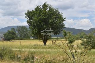 Αγροτεμάχια 24.000 τ.μ. για ενοικίαση, Ν. Ιωαννίνων, Ιωάννινα-thumb-10