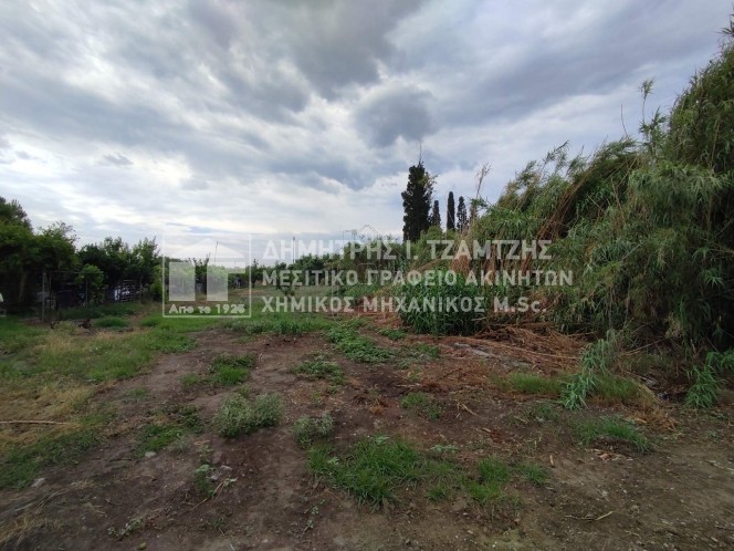 Αγροτεμάχια 4.450τ.μ. για πώληση-Βόλος » Νεάπολη
