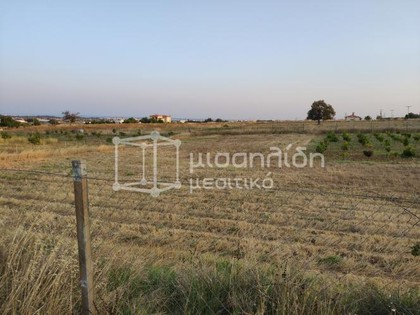 Parcel 1.000sqm for sale-Alexandroupoli » Palagia