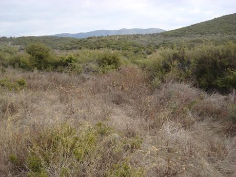 Αγροτεμάχια 4.500τ.μ. για πώληση-Αλεξανδρούπολη » Δίκελλα