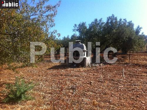 Land plot 2.300sqm for sale-Keratea » Plaka