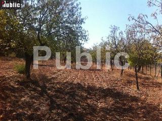Οικόπεδο 2.300 τ.μ. για πώληση, Αττική - Υπόλοιπο, Κερατέα-thumb-1