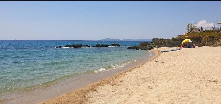 Αγροτεμάχια 1.233 τ.μ. για πώληση