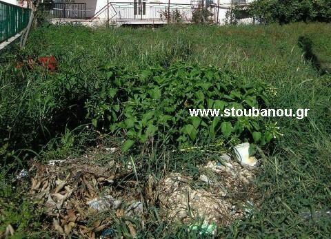 Οικόπεδο 217 τ.μ. για πώληση, Ν. Ηλείας, Γαστούνη