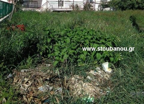 Οικόπεδο 217 τ.μ. για πώληση