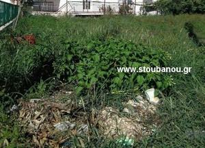 Land plot 217 sqm for sale