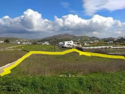Αγροτεμάχια 2.000 τ.μ. για ενοικίαση
