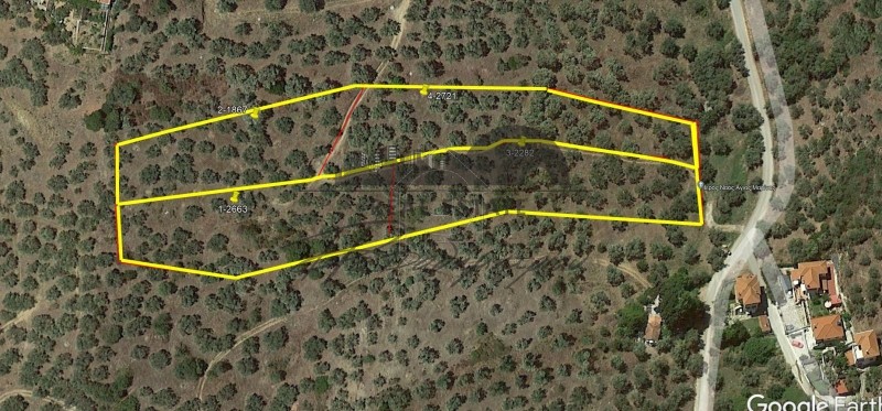 Parcel 4.945sqm for sale-Pteleos » Agia Marina