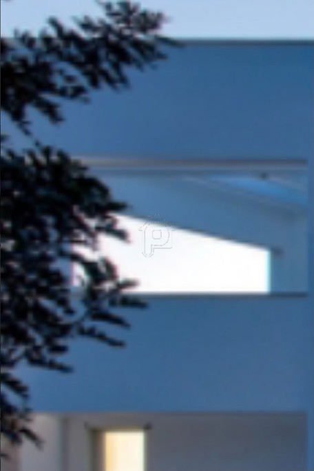 Μονοκατοικία 150τ.μ. για πώληση-Βάρη- βάρκιζα » Ασύρματος αλίανθου