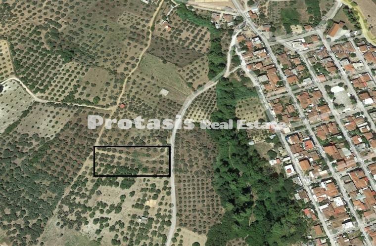 Οικόπεδο 3.850τ.μ. για πώληση-Ωρεοί » Ταξιάρχης