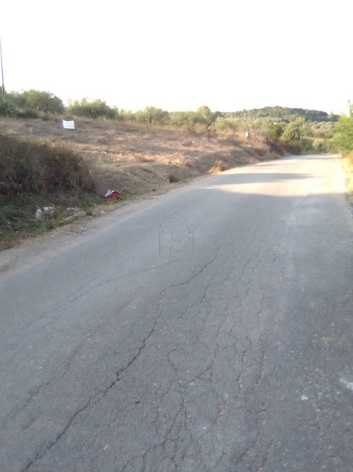 Οικόπεδο 2.700 τ.μ. για πώληση