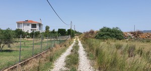 Οικόπεδο 7.728τ.μ. για πώληση-Πύργος » Κέντρο