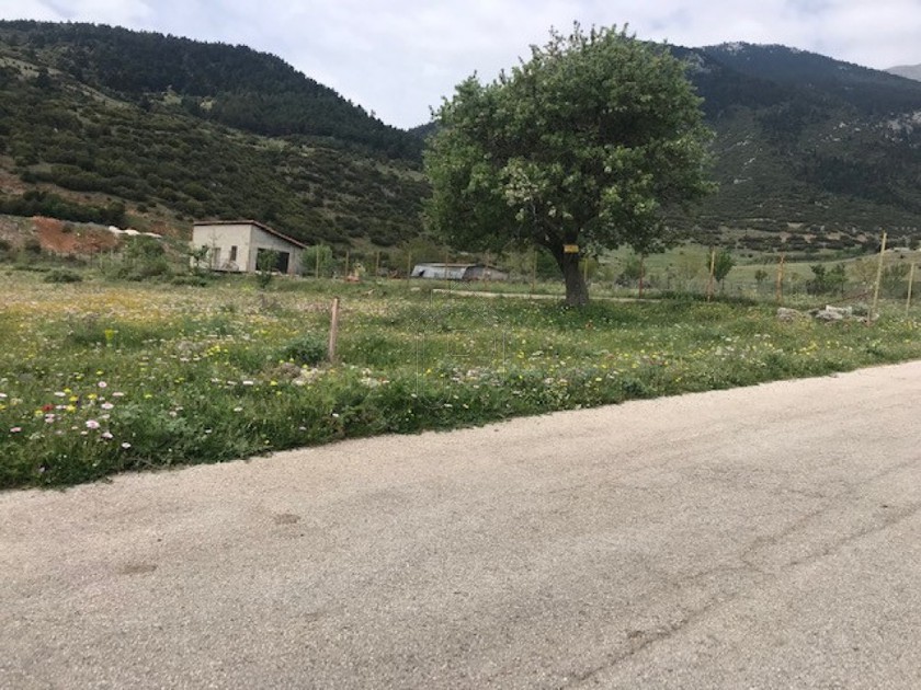 Οικόπεδο 4.901τ.μ. για πώληση-Ασπρόπυργος » Κουνουπίτσα