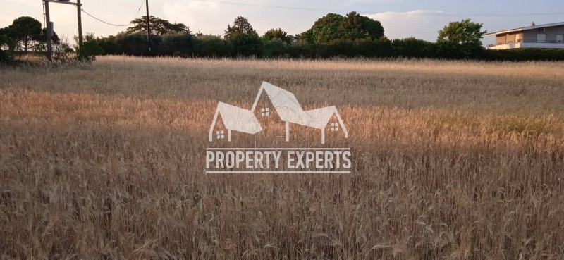 Parcel 1.200sqm for sale-Alexandroupoli » Nea Chili