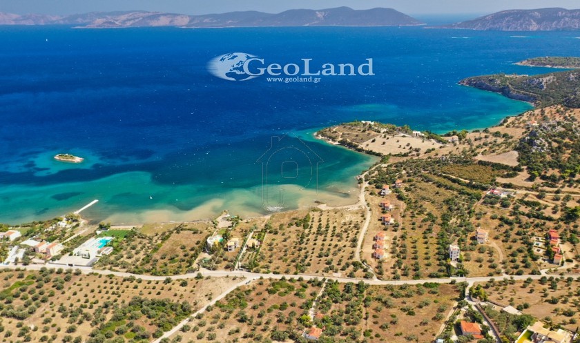 Αγροτεμάχια 14.000 τ.μ. για πώληση