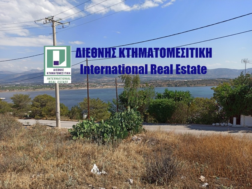 Οικόπεδο 597τ.μ. για πώληση-Μέγαρα » Πάχη
