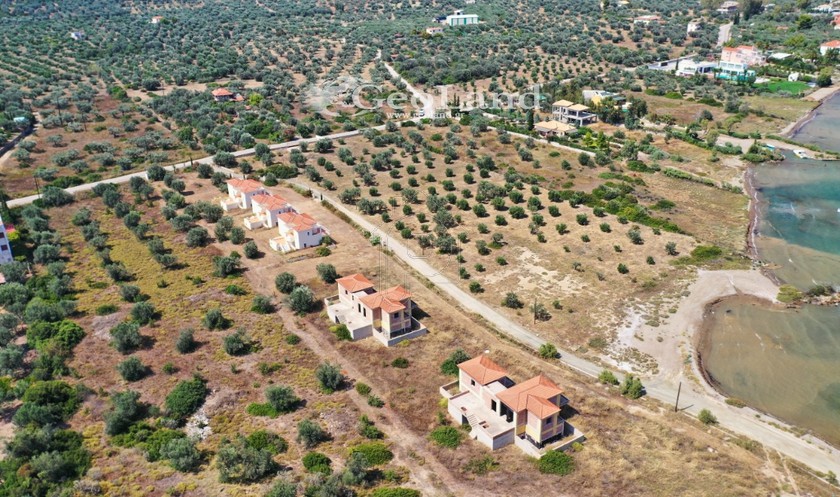 Αγροτεμάχια 8.000 τ.μ. για πώληση