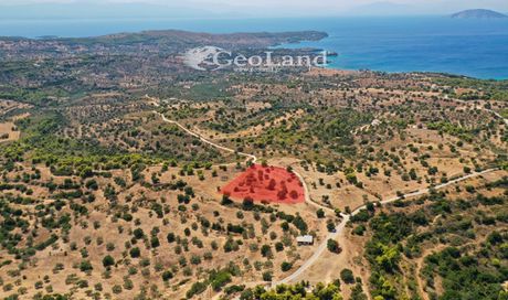 Αγροτεμάχια 4.004τ.μ. για πώληση-Κρανίδι » Δορούφι