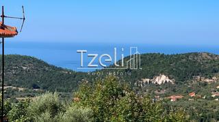 Οικόπεδο 450 τ.μ. για πώληση, Ν. Λάρισας, Καρυά-thumb-8