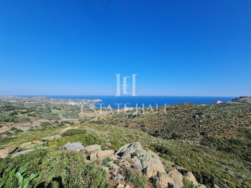 Αγροτεμάχια 25.000τ.μ. για πώληση-Γάζι » Λυγαριά