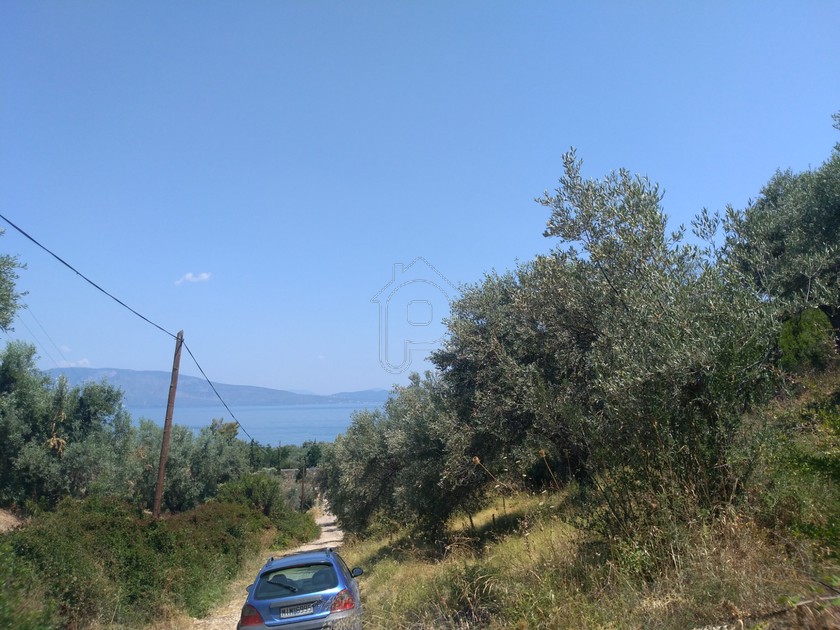 Parcel 4.200sqm for sale-Dafnouses » Arkitsa