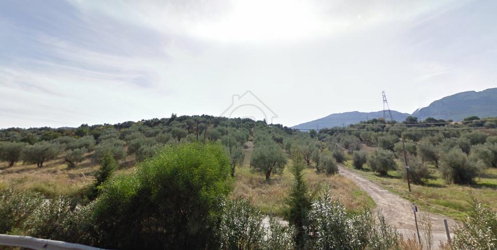 Αγροτεμάχια 4.200 τ.μ. προς πώληση, Αρκίτσα