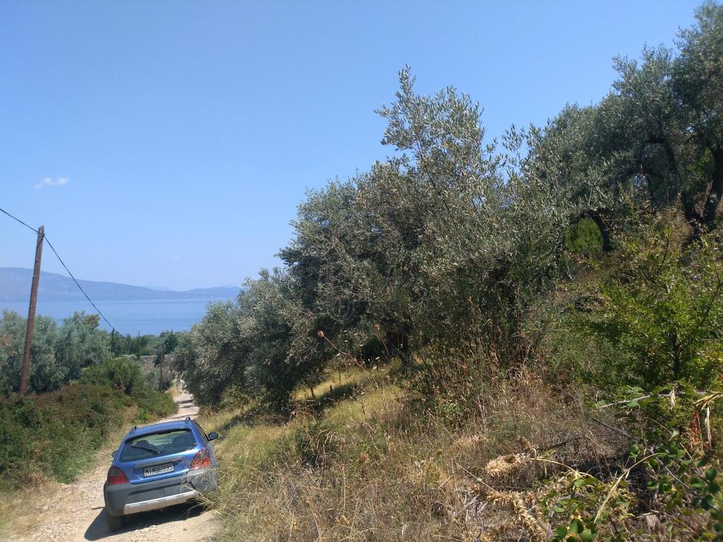 Αγροτεμάχια 4.200 τ.μ. προς πώληση, Αρκίτσα