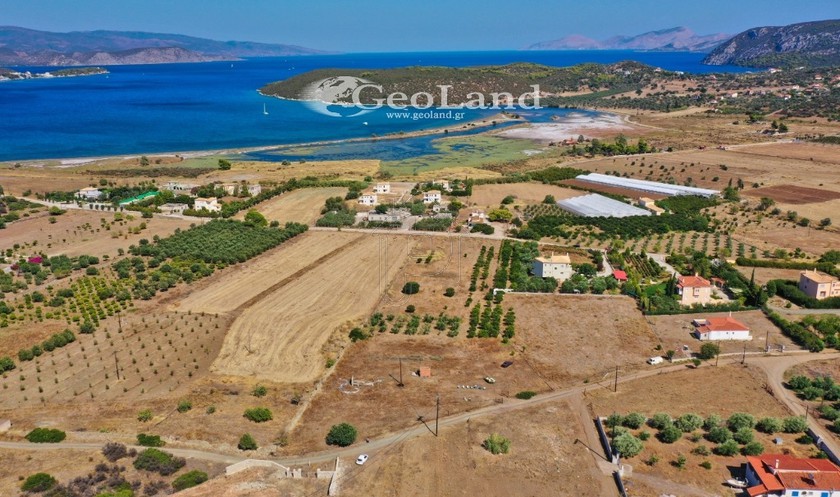 Αγροτεμάχια 4.700 τ.μ. για πώληση
