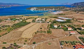 Αγροτεμάχια 4.700 τ.μ. για πώληση
