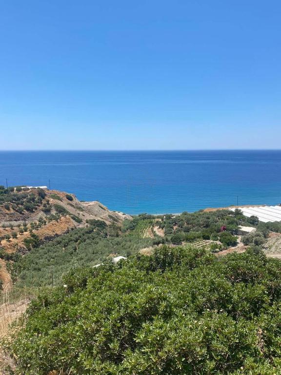 Αγροτεμάχια 3.200 τ.μ. πρός πώληση, Ν. Ηρακλείου, Βιαννός