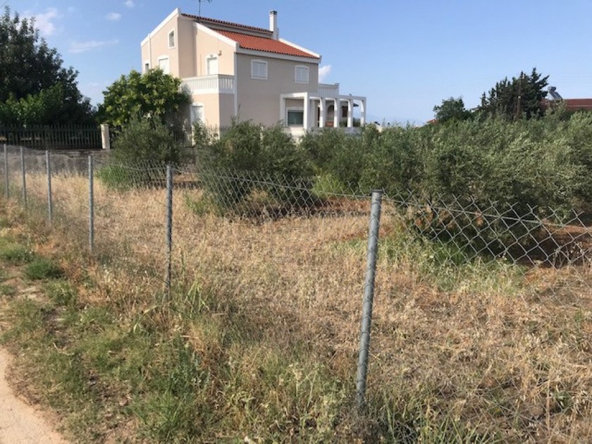 Οικόπεδο 1.002τ.μ. για πώληση-Σικυώνα » Πάσιο