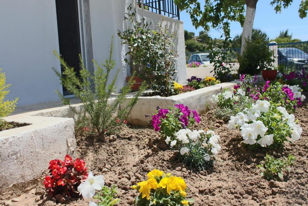 Συγκρότημα διαμερισμάτων 400 τ.μ. προς πώληση, Βουρβουρού