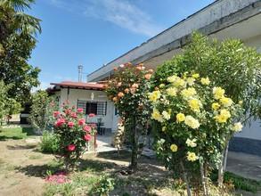 Άλλο 2.500 τ.μ. για πώληση, Ημαθία, Αλεξάνδρεια-thumb-4