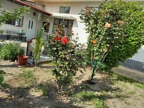 Άλλο 2.500 τ.μ. για πώληση, Ημαθία, Αλεξάνδρεια-thumb-11