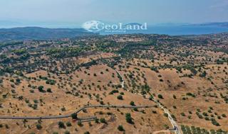 Αγροτεμάχια 8.008 τ.μ. για πώληση, Αργολίδα, Κρανίδι-thumb-1
