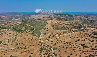 Αγροτεμάχια 8.008 τ.μ. για πώληση, Αργολίδα, Κρανίδι-thumb-10