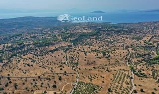 Αγροτεμάχια 8.008 τ.μ. για πώληση, Αργολίδα, Κρανίδι-thumb-11