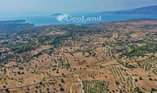 Αγροτεμάχια 8.008 τ.μ. για πώληση, Αργολίδα, Κρανίδι-thumb-12