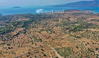 Αγροτεμάχια 8.008 τ.μ. για πώληση, Αργολίδα, Κρανίδι-thumb-13