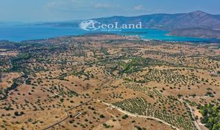 Αγροτεμάχια 8.008 τ.μ. για πώληση, Αργολίδα, Κρανίδι-thumb-14