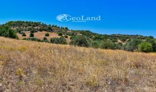 Αγροτεμάχια 8.008 τ.μ. για πώληση, Αργολίδα, Κρανίδι-thumb-20