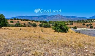 Αγροτεμάχια 8.008 τ.μ. για πώληση, Αργολίδα, Κρανίδι-thumb-21
