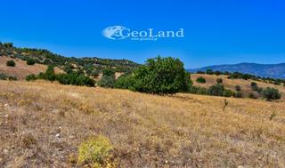 Αγροτεμάχια 8.008 τ.μ. για πώληση, Αργολίδα, Κρανίδι-thumb-22