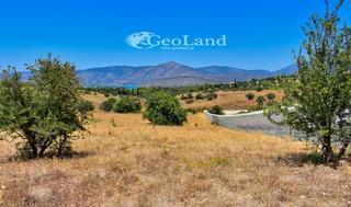 Αγροτεμάχια 8.008 τ.μ. για πώληση, Αργολίδα, Κρανίδι-thumb-24