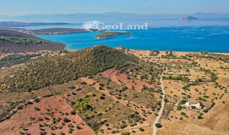 Αγροτεμάχια 10.493τ.μ. για πώληση-Κρανίδι » Φούρνοι
