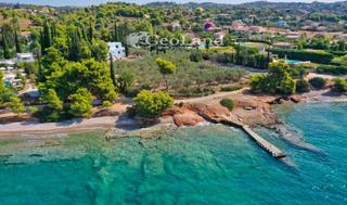 Μονοκατοικία 300 τ.μ. για ενοικίαση, Αργολίδα, Κρανίδι-thumb-18